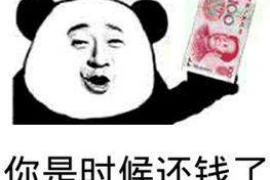讨债要钱找110有用吗？——全面解析讨债途径与法律支持