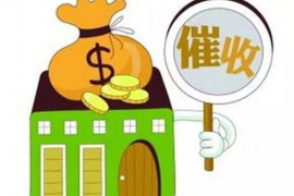 金州讨债公司联系电话：专业高效解决债务问题
