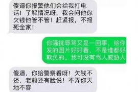 郑卅有要账公司吗？揭秘债务催收行业的现状与选择