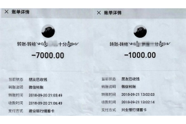律师协会电子催收规范：行业自律与法律实践的融合