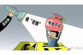 赞皇追款公司排名：揭秘高效追收领域的佼佼者