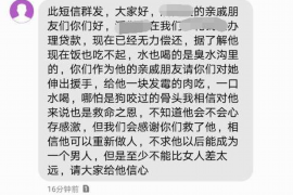 银行催收公告法律：了解您的权益与责任