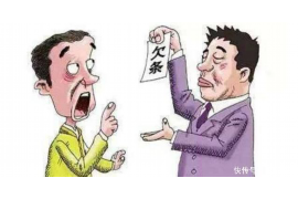 高炮催收去农村上门：新形势下债务催收的挑战与应对